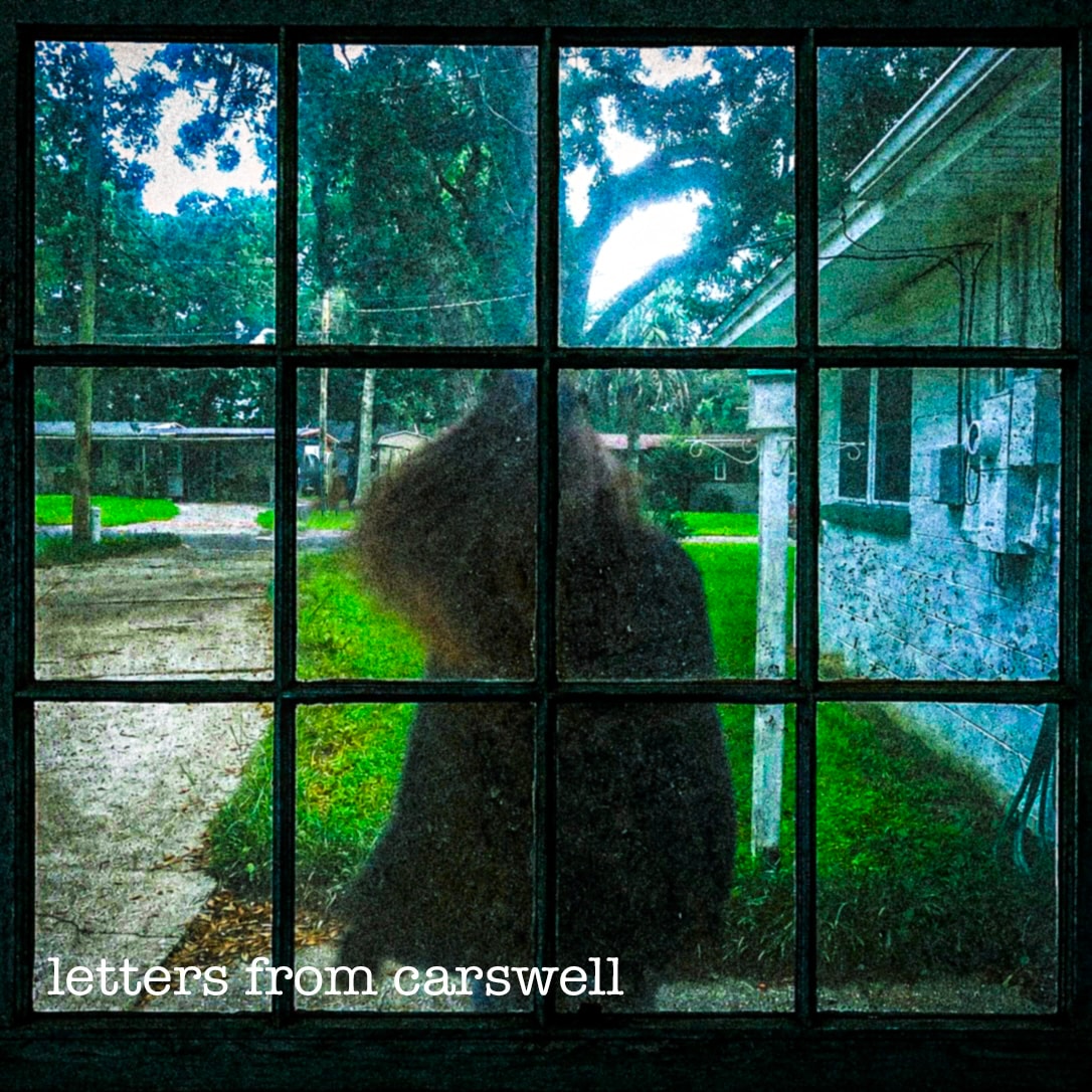 Window pain artwork